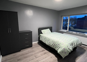 martin-knize-JjT_7MwREm4-unsplash_0000_WhatsApp-Image-2025-02-04-at-8.12.08-AM-(3)